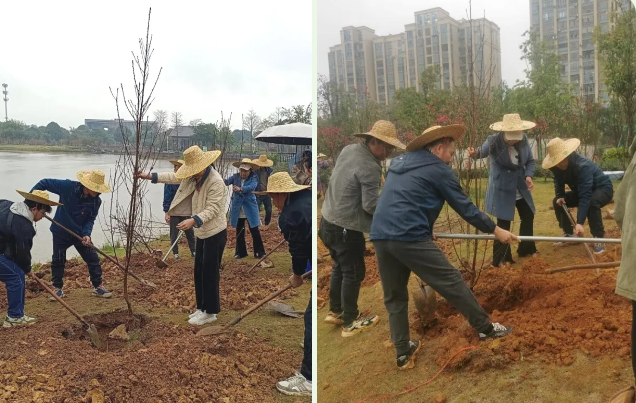 66b2ec35d21c7.png 博環(huán)植樹03.png